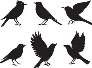 set of silhouettes of birds
