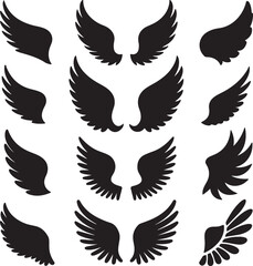 wings vector set icon art illustration