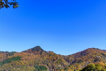 秋　山形天童公園にて

