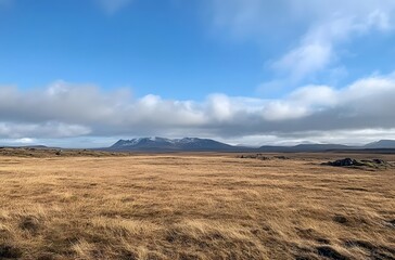 Fototapeta premium Icelandic Plains Under a Blue Sky Mountains in the Distance