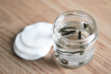 Medicinal leeches in glass jar and cotton pads on wooden table, closeup