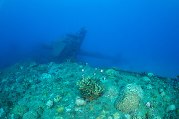 沈船　利根川丸　東京都　小笠原