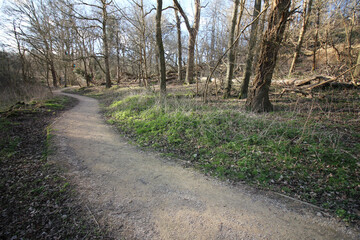 Fototapeta premium Queens Hill, Norwich, United Kingdom, March 15, 2025, Views from Queens Hill Forest