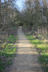 Fototapeta premium Queens Hill, Norwich, United Kingdom, March 15, 2025, Views from Queens Hill Forest