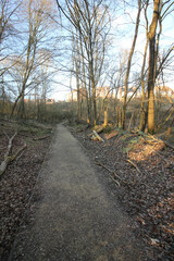 Fototapeta premium Queens Hill, Norwich, United Kingdom, March 15, 2025, Views from Queens Hill Forest