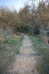 Queens Hill, Norwich, United Kingdom, March 15, 2025, Views from Queens Hill Forest