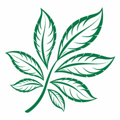 green leaf vector