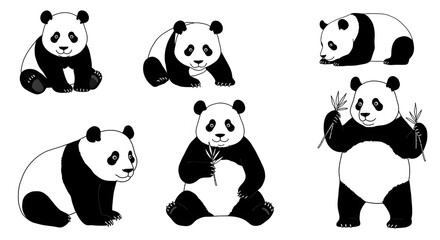 Obraz premium Panda illustrations showcasing various sizes and postures in a playful and artistic style