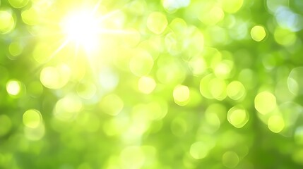 Obraz premium Sunlit Green Forest Bokeh
