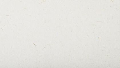 Obraz premium 和紙のテクスチャ（白色）