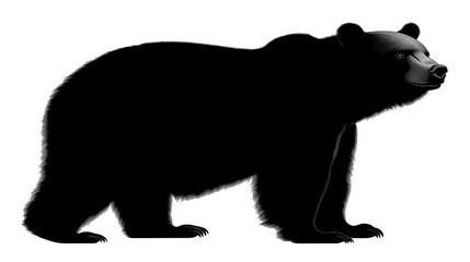 Black bear silhouette, standing profile.