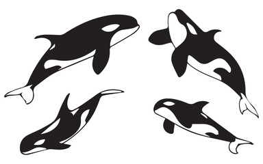 Orca Whale Silhouette Collection in Various Styles