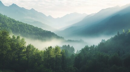 Fototapeta premium Tranquil Morning in Nature with Misty Mountains and Serene Scenery