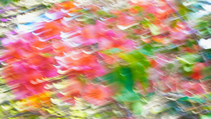 Colorful blurred flowers create a vibrant atmosphere in a garden filled with blooming nature in spring