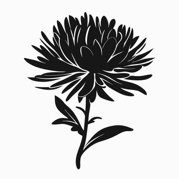 black chrysanthemum flower silhouette on white clip art preview