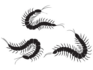 Centipede Silhouettes Illustration Set