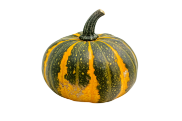 Small Decorative Pumpkin With Orange And Green Stripes
