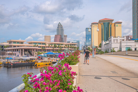The waterfront transportation and skyline Tampa Florida.