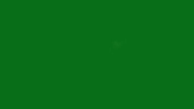 The video element of on a green screen background, Ultra High Definition, 4k video, on a green screen background.