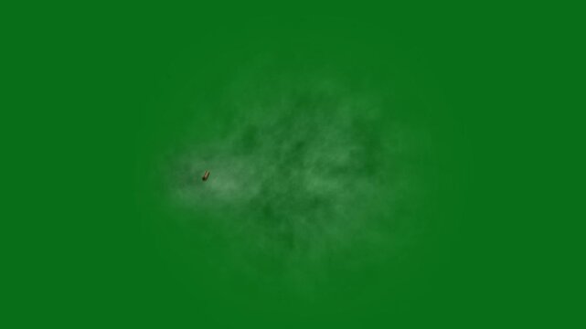 The video element of on a green screen background, Ultra High Definition, 4k video, on a green screen background.