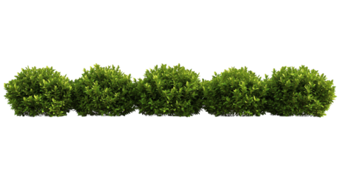 Green garden bushes cut out