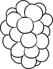 Farm fresh grapes coloring page