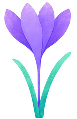 Obraz premium spring crocus flower illustration. Isolated purple flower with stem and leaf clip art.