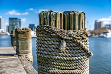 Baltimore, MD, USA - March 8, 2025:  Afternoon winter photo of the Baltimore Inner Harbor on a...