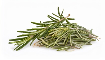 Fototapeta premium Fresh Rosemary Sprigs