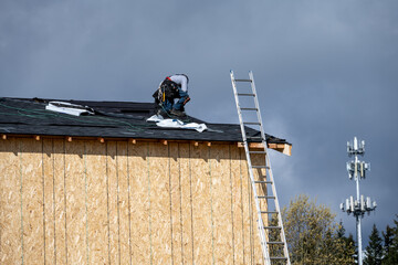 New home construction site, roofing contractor (workman labor) putting down asphalt shingles,...