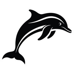 dolphin vector illustration