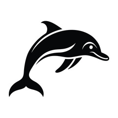 dolphin vector illustration