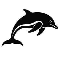 dolphin isolated on white background