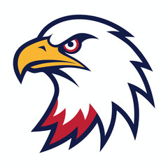 Obraz premium american bald eagle