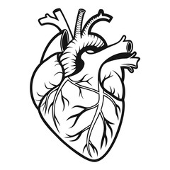 Realistic Heart Icon Black Silhouette High-Quality Vector Illustration on Transparent Background