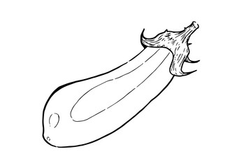 茄子　単体・断面　墨絵　線画　透過png