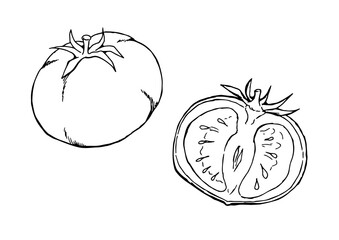 トマト　単体・断面　墨絵　線画　透過png