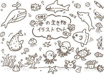 海の生き物セット　手描き　線画
