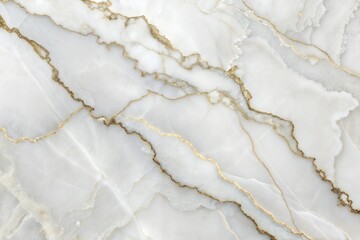 Fototapeta premium White marble texture with intricate natural patterns