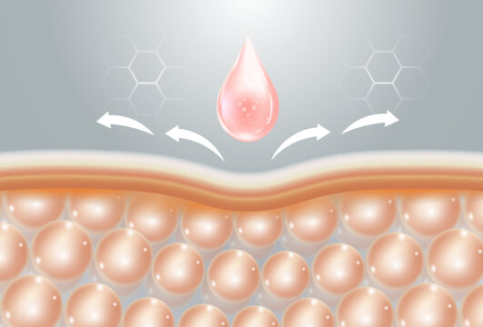 serum to delay aging of facial skin