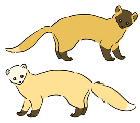 毛色の違うテンのイラスト