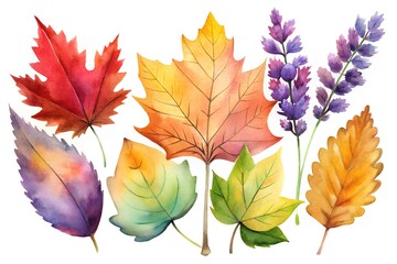 Vibrant Watercolor Autumn Leaves Lavender Flowers Collection Perfect for Fall Designs