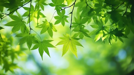 Vibrant green leaves in spring, swaying gently against a soft-focus natural background.