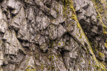 Rocky Cliff with Moss and Foliage in BC, Canada Natural Landscape