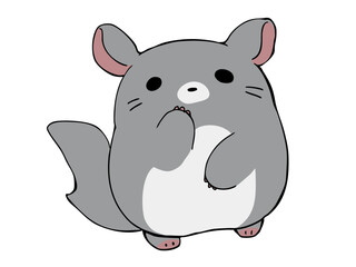 まるっこい チンチラ