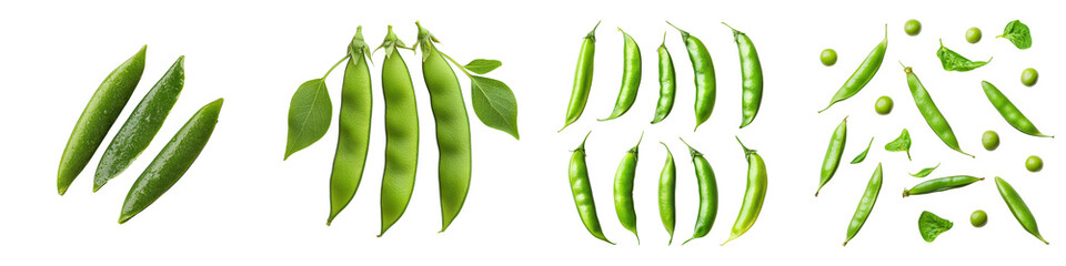 A collection of fresh green pea pods at various stages of growth including whole pods split pods and individual peas