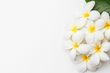 Naklejka premium Bright white yellow flowers create vibrant floral beauty and joy.