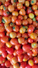 A colorful assortment of freshly harvested cherry and plum tomatoes in various stages of ripeness, ranging from bright orange to deep red. These juicy and nutrient-rich fruits are a staple in salads