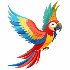 parrot on white background