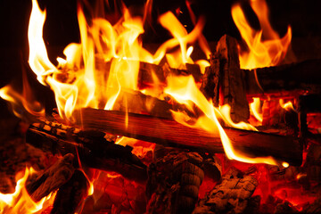burning wood in the fireplace